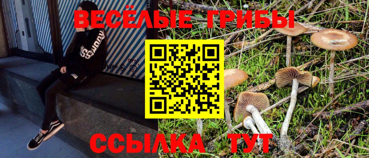 Галлюциногенные грибы Magic Shrooms  Вход с VPN  Горячий Ключ  Псилоцибиновые грибы ЛСД 